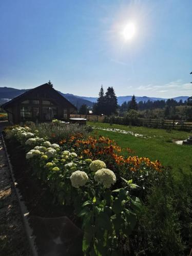 a garden of flowers in front of a building at Căsuțele MukSot in Vatra Dornei