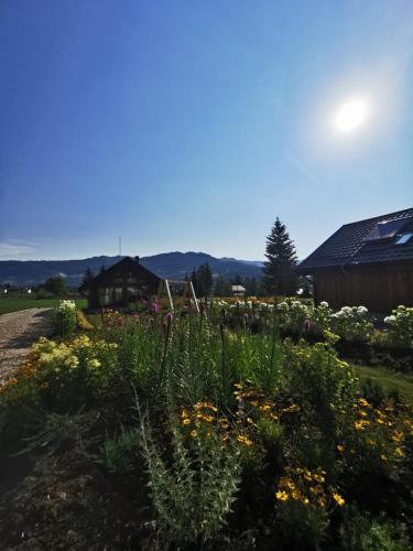 a garden with flowers in the foreground at Căsuțele MukSot in Vatra Dornei
