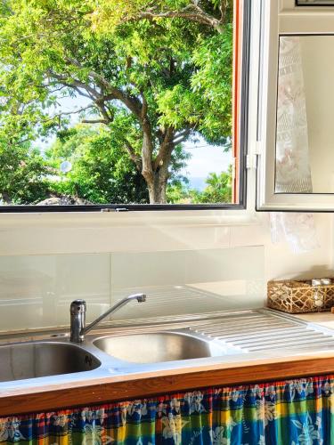 a kitchen sink in front of a window with a tree at Ti' Palmiers in Pointe-Noire
