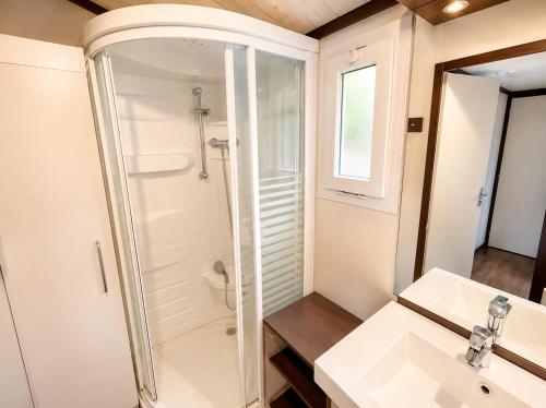 a bathroom with a shower and a sink at Chalet privilège Parc de la Chesnaie in Autruy-sur-Juine