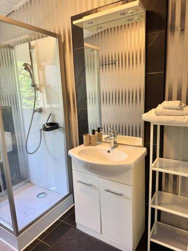 a bathroom with a sink and a shower at Mini Apartment mit Garten und Küche in Ilbenstadt