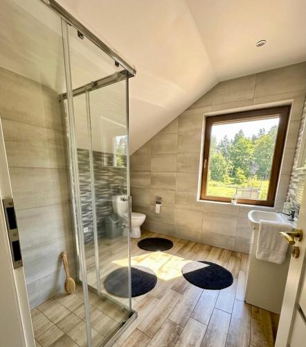 a bathroom with a shower and a toilet at Domo Vila in Druskininkai