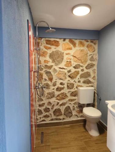 a bathroom with a stone wall next to a toilet at SRC Bella Casa in Ohrid