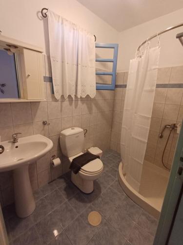a bathroom with a toilet and a sink and a shower at Meraki lipsi apartment in Leipsoi