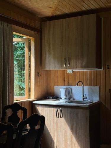 a kitchen with wooden cabinets and a sink and a window at Kaghu in Martvili