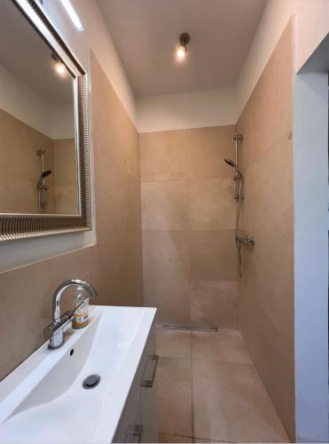 a bathroom with a sink and a shower at Landidyll am Bauerhof in Sankt Valentin