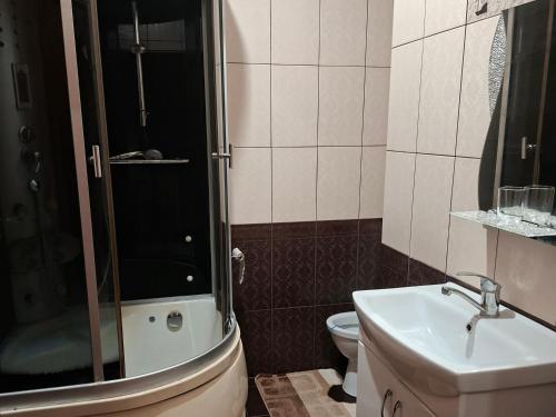 a bathroom with a toilet and a sink and a shower at Oleksandria in Volovets