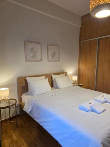 Spacious Art Home in Gazi Near Metro 2 min