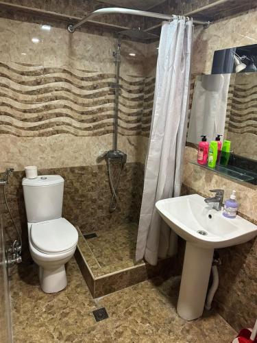 a bathroom with a shower and a toilet and a sink at Villa hills II in Yerevan