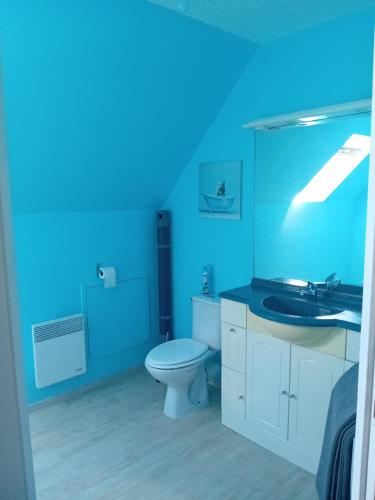 a blue bathroom with a toilet and a sink at Le Cottage d'Aubigny in Aubigny-sur-Nère