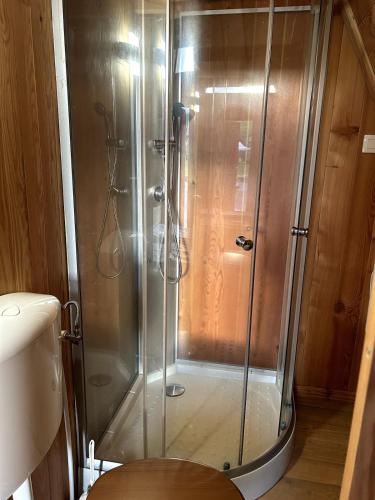 a shower with a glass door in a bathroom at Glamping cabins in Gorenja Vas