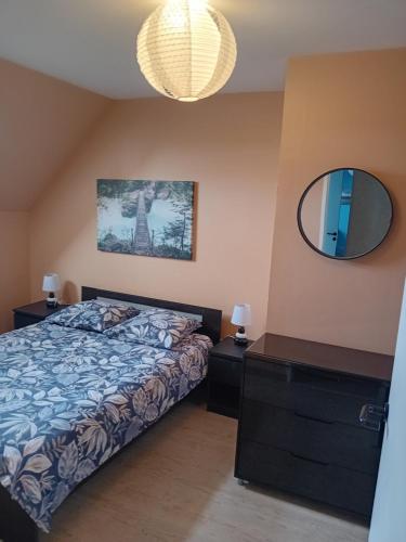 a bedroom with a bed and a mirror at Le Cottage d'Aubigny in Aubigny-sur-Nère