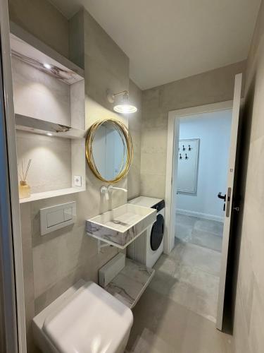 a bathroom with a sink and a mirror and a toilet at Apartament Amaya in Bistriţa
