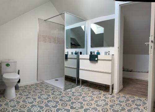 a bathroom with a toilet and a sink and mirror at Maison « La grange » climatisée in Azay-le-Rideau