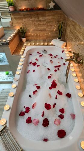 a bath tub filled with red rose petals at Stay4U Veszprém in Veszprém
