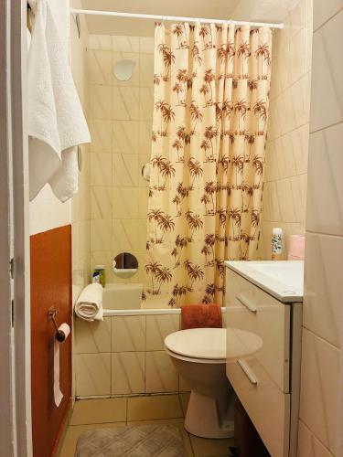 a bathroom with a toilet and a shower curtain at Studio Centre Strasbourg in Strasbourg