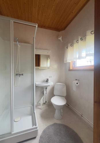 a bathroom with a shower and a toilet and a sink at Senja seaside retreat in Senja