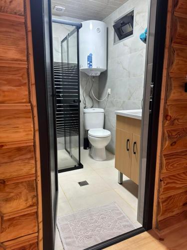 a bathroom with a toilet and a sink at OHANA Cottages in Merisi in Merisi