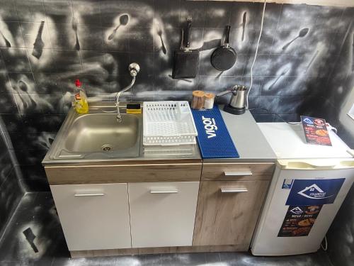 a small kitchen with a sink and a trash can at Stojanovski Apartments in Kumanovo