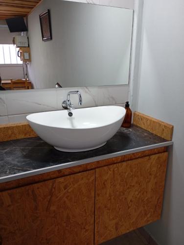 a white bowl sink on a counter in a bathroom at Habitación loft centrica in Esperanza