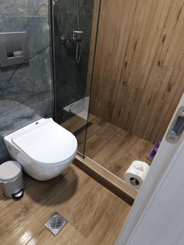 a bathroom with a white toilet and a shower at Aegean dream house in Ofrínion