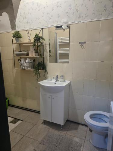 ein Badezimmer mit Waschbecken und Toilette in der Unterkunft Reset Apartment in Cluj-Napoca