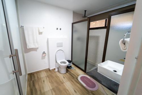 a bathroom with a toilet and a sink at Hotel Cantinho in Montanha
