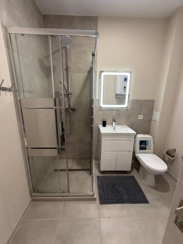 a bathroom with a shower and a toilet and a sink at Морской Двор in Chornomorsk