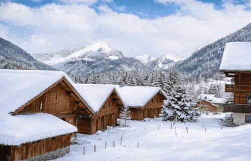 Appartement Châtel 57 m², vue montagne