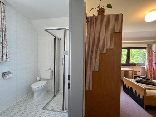 a bathroom with a toilet and a shower in it at Waldgarten Marienau in Höchenschwand