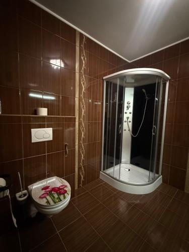 a bathroom with a shower and a toilet and a mirror at 2 Schlafzimmer Apartment Bergland 