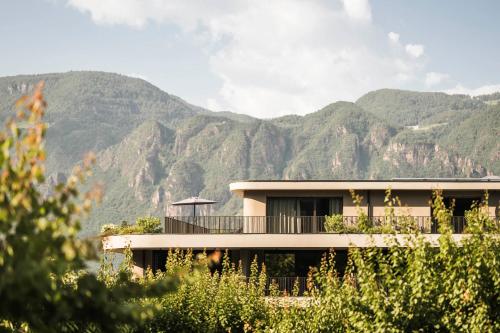 a house with mountains in the background at Belia Lofts - ADULTS ONLY - Apartments in Appiano sulla Strada del Vino