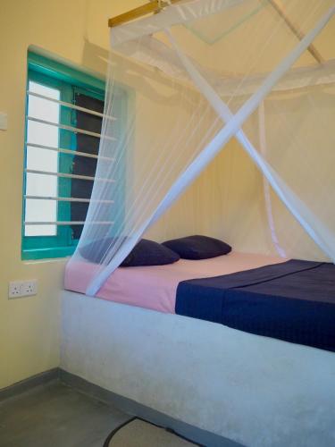 a bedroom with a bed with a mosquito net at Funky Monkey Surfhostel Hiriketiya in Hiriketiya