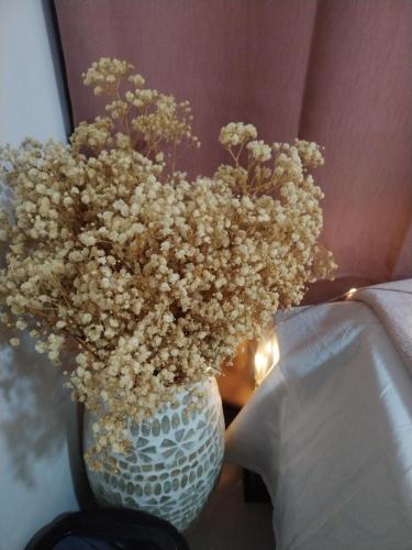 a blue vase with flowers in it at Carribean Boutique Hostel in San José