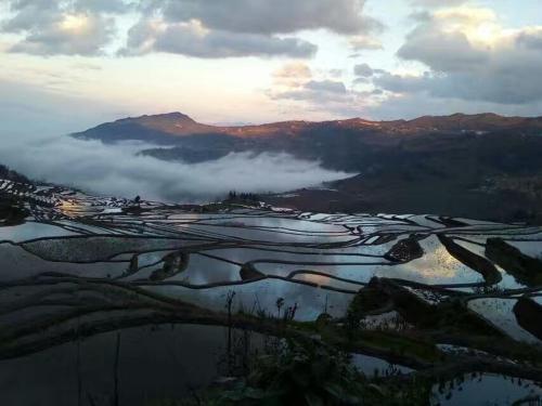 a view of a valley with clouds in the water at Green Hostel & Sunny Guesthouse in Yuanyang