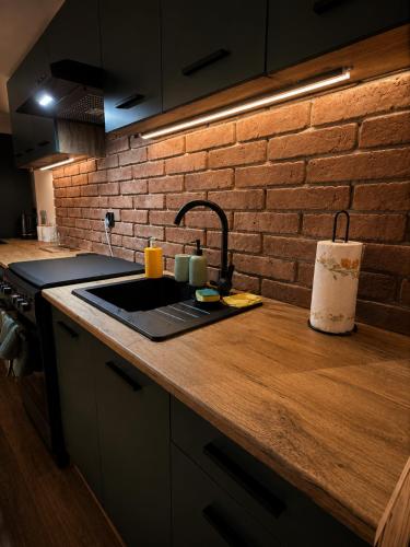 a kitchen counter with a sink and a brick wall at Pretty House in Słupsk