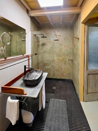a bathroom with a sink and a shower at Il Casale di Bubu in Modena