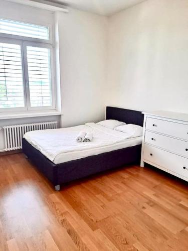 Flat - close to Zurich HB Uni