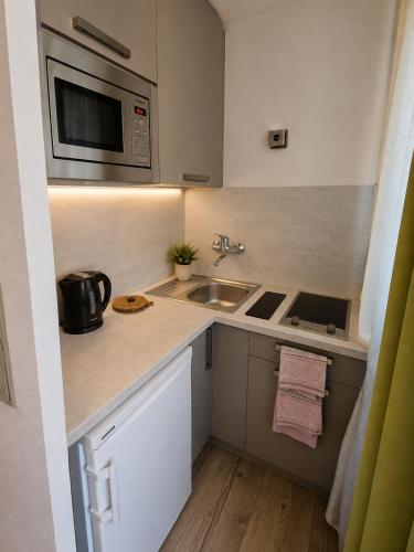 Alpenblick Apartment