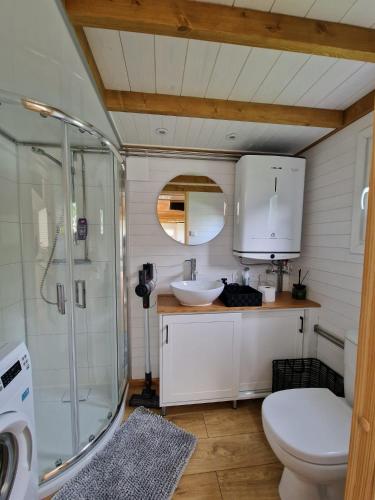 a bathroom with a shower and a sink and a toilet at Little Luxe 2 in Amriswil