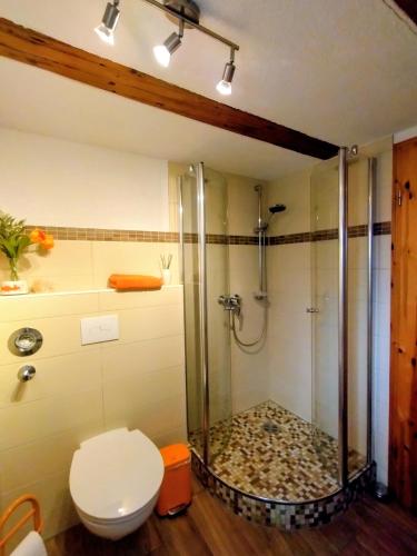 a bathroom with a shower and a toilet at Ferienwohnung Zeittor in Tharandt
