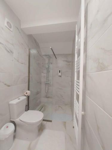 a white bathroom with a toilet and a shower at The Cozy Backyard Home- satu Mare in Satu Mare