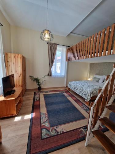 a bedroom with a bunk bed and a television at Happyzem in Sátoraljaújhely