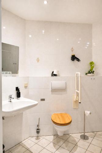 a bathroom with a toilet and a sink at Landhotel Peters - zwischen zwei Seen in Canow