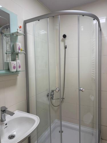 a shower with a glass door next to a sink at Anas apartments in Zugdidi
