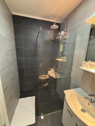 a bathroom with a shower and a toilet and a sink at Andrejić 1 in Veliko Gradište