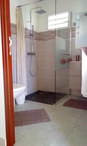 a bathroom with a shower and a toilet at Beauvalette in Sainte-Anne
