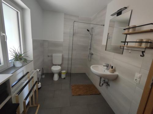 a white bathroom with a sink and a toilet at Appartement Weideblick in Steinsieken