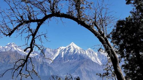 a view of a snow covered mountain with a tree at Dharohar Retreat, Mukteshwar in Mukteshwar