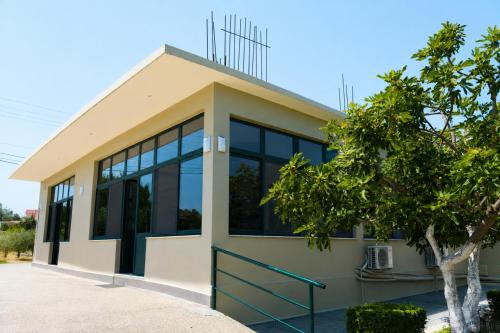 a building with large windows and a tree at Gazulli Guesthouse in Lezhë